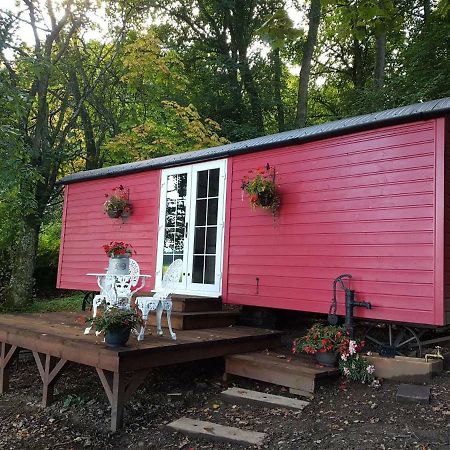Borthwickbrae Shepherd'S Hut ホーイック エクステリア 写真