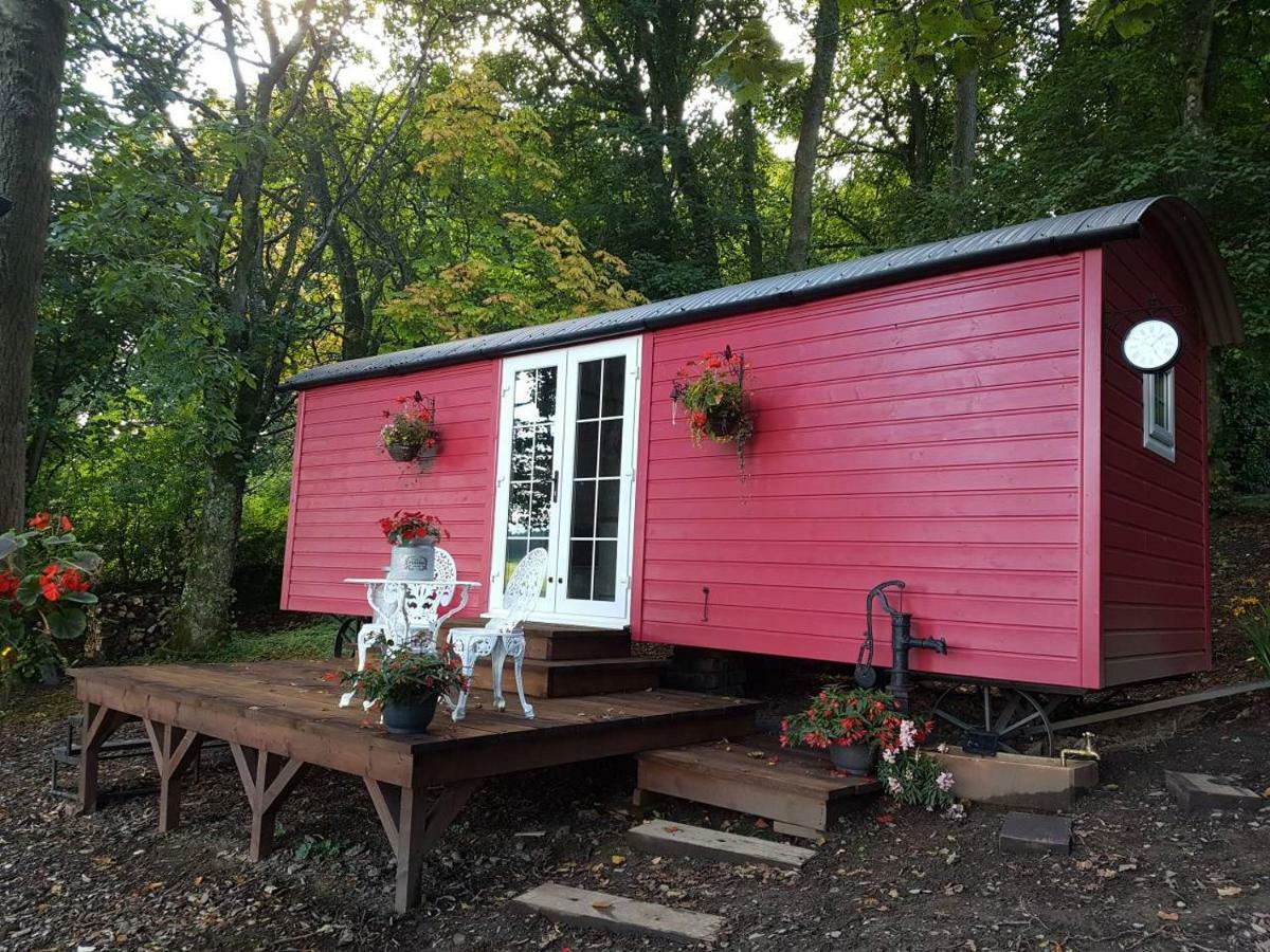 Borthwickbrae Shepherd'S Hut ホーイック エクステリア 写真